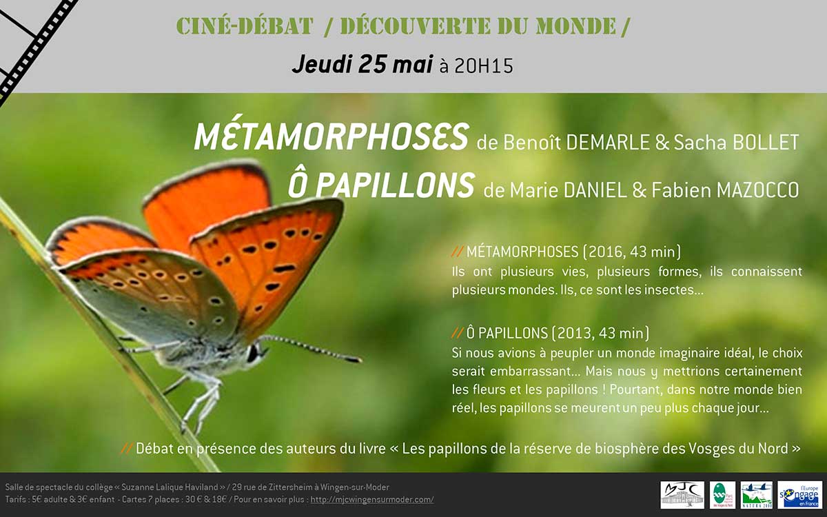 o-papillons